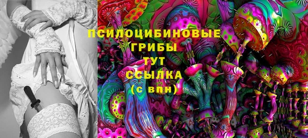 шишки Нея