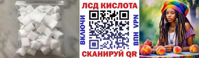 закладка Олонец ЛСД экстази ecstasy
