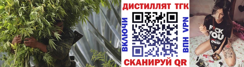 Дистиллят ТГК Wax  Олонец 