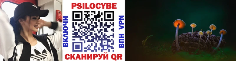 наркошоп  Олонец  Галлюциногенные грибы Cubensis 