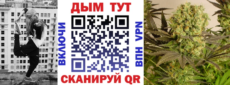 ссылка на мегу ссылки Олонец Бошки Шишки SATIVA & INDICA